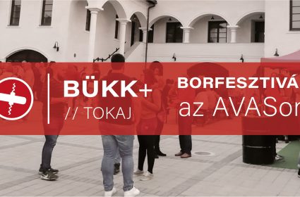Bükk + Tokaj - Borfesztivál az AVASon