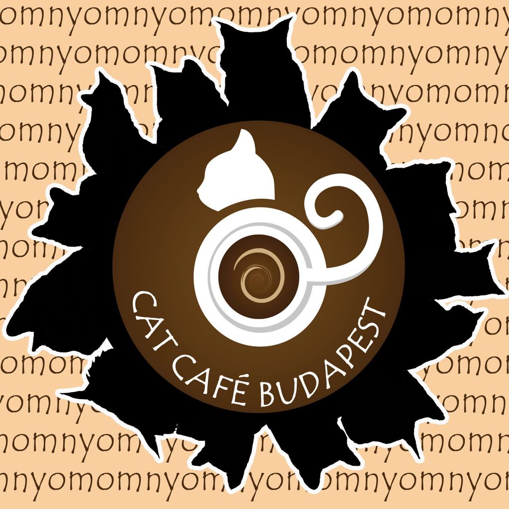 Cat Café Budapest – a legmacskásabb hely